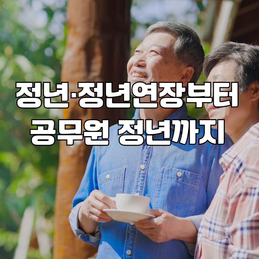 정년 연장부터 공무원 정년까지 확인