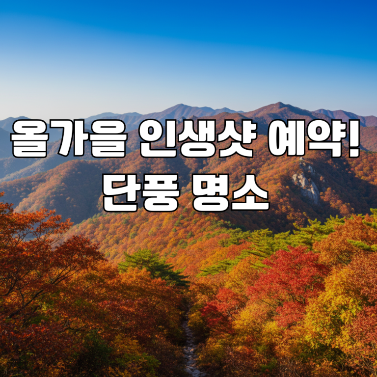 🍁 2025년 가을, 인생샷을 위한 단풍놀이 명소 완벽 가이드